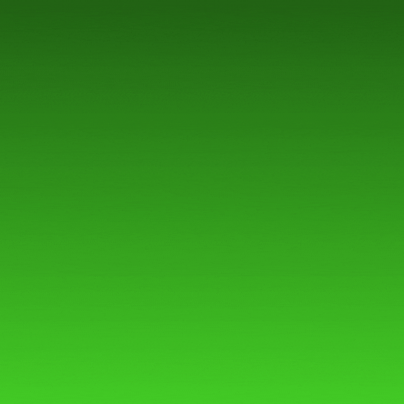 🎁 Holiday Deals 🎁